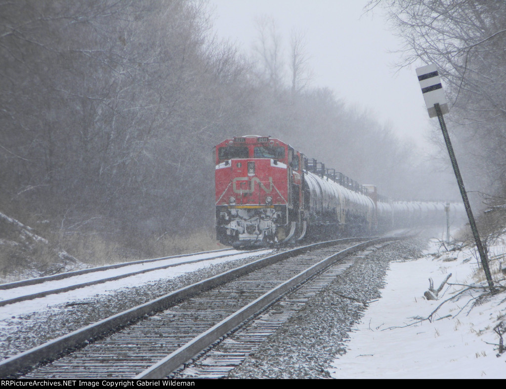 CN 8911